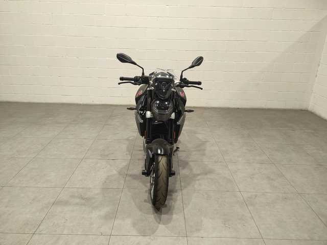 Triumph Burgos